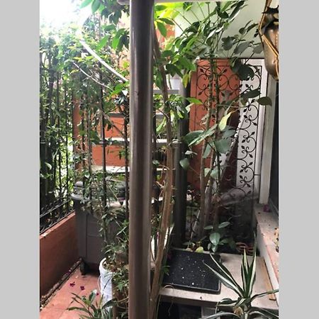 Amplia Habitacion Tipo Ejecutiva Con Bano Y Acceso Privados Толука-де-Лердо Экстерьер фото