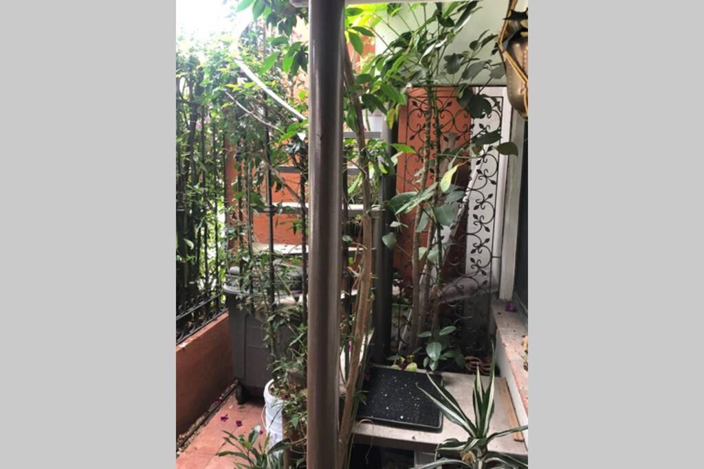 Amplia Habitacion Tipo Ejecutiva Con Bano Y Acceso Privados Толука-де-Лердо Экстерьер фото